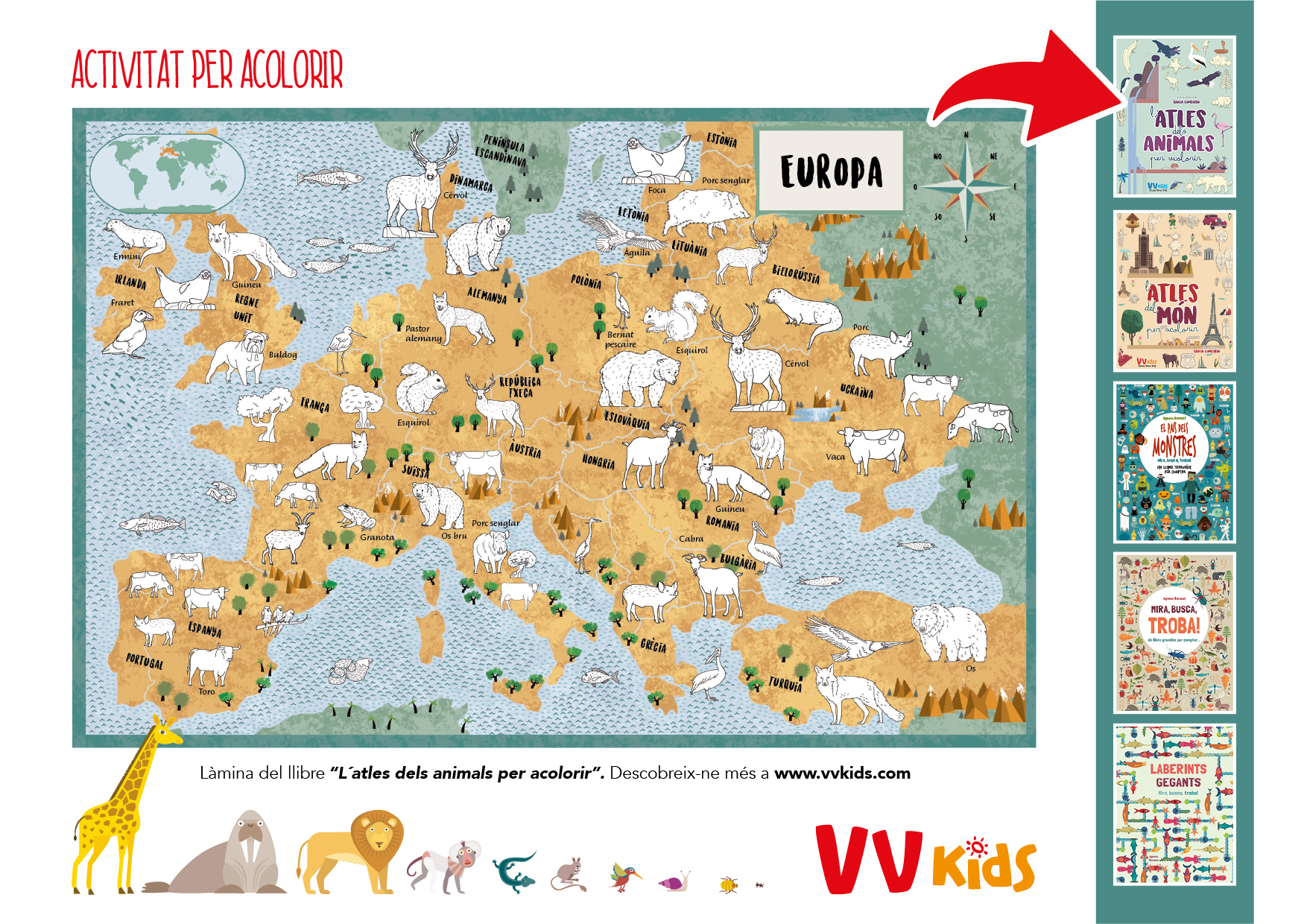 Activitat per acolorir