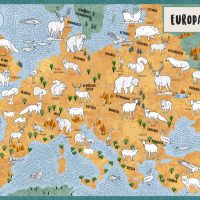 EL ATLAS DE LOS ANIMALES PARA COLOREAR