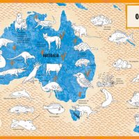 EL ATLAS DE LOS ANIMALES PARA COLOREAR