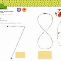 Mi primer libro de NÚMEROS