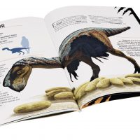 DINOSAURES PREDADORS